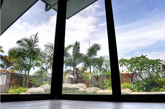 View from inside a home through black-framed security screens to a tropical garden with palms and a rock-edged pool